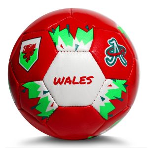 A Plus Collectibles World Cup Soccer Ball - Wales