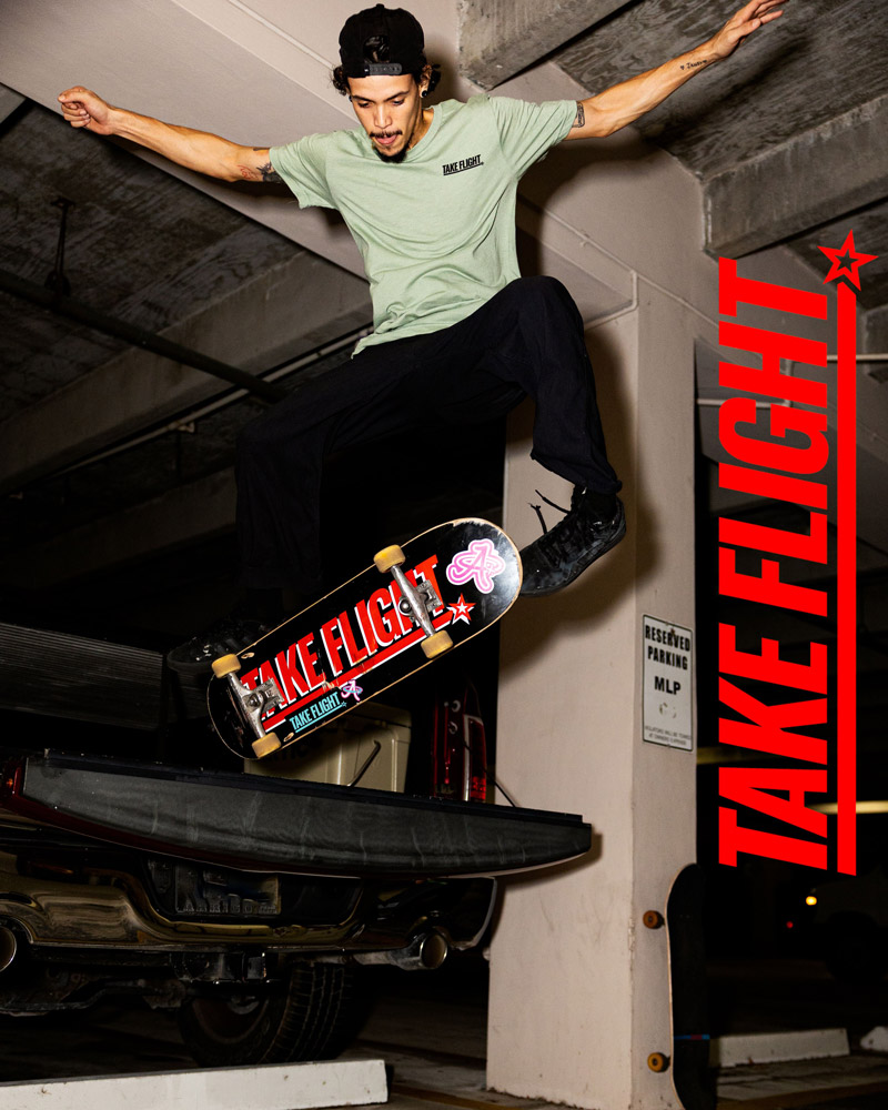 Take Flight Skate Cover Photo